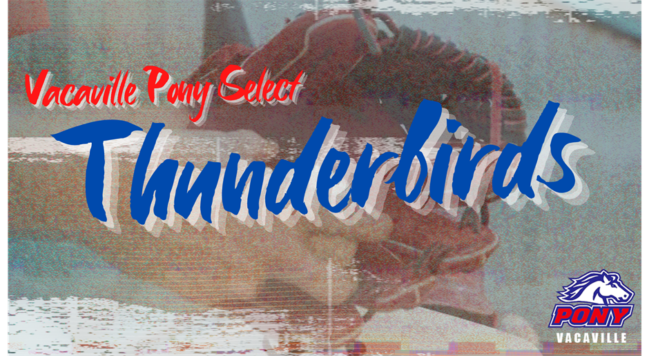 Thunderbirds Pony Select